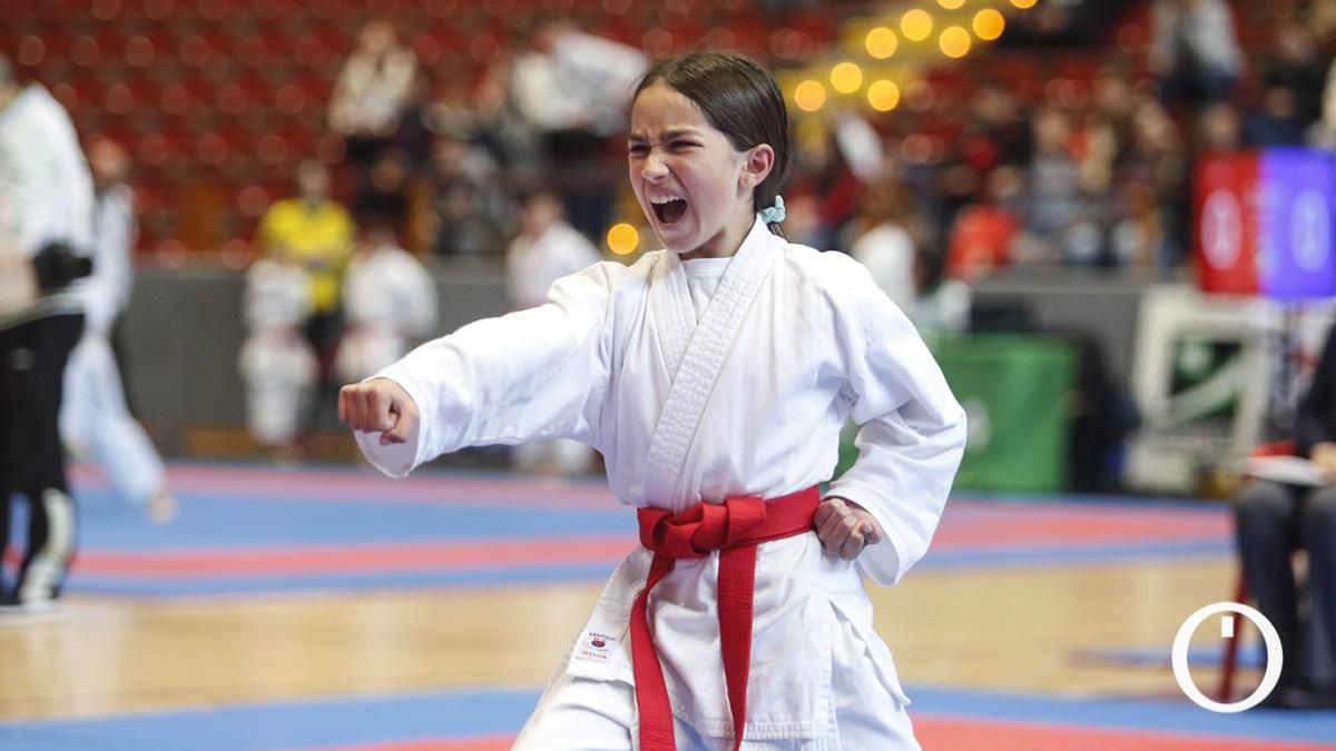 Campeonato de Andalucía Infantil y Juvenil de kárate