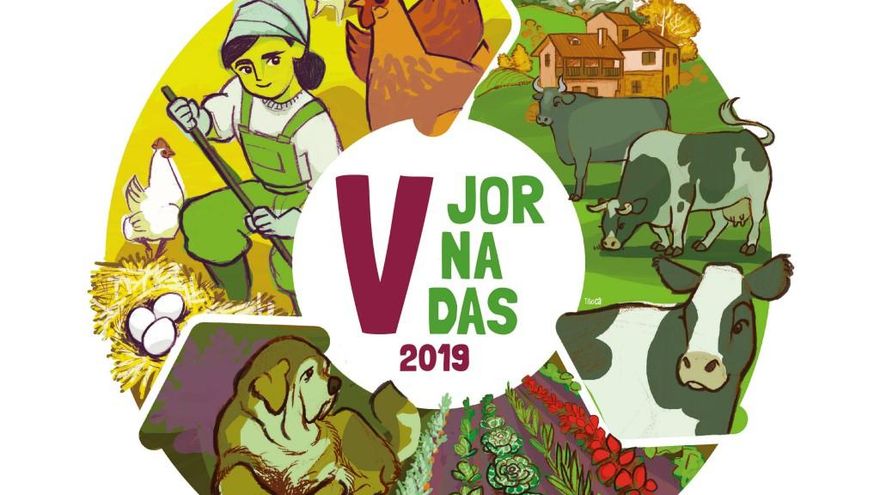 Jornadas Voluntariado