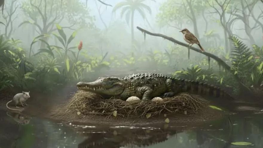 ¿Podían los cocodrilos de hace 55 millones de años trepar árboles para lanzarse sobre sus presas? El hallazgo de unos huevos fosilizados en Queensland ofrece la primera prueba de que sí
