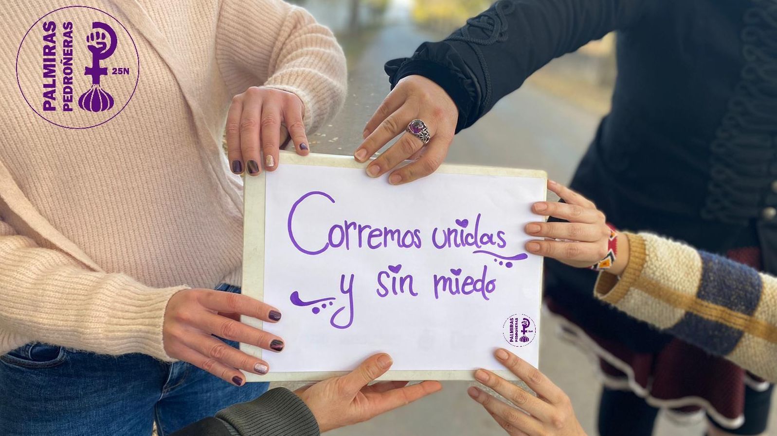 Iniciativa de la Asociación Las Palmiras de Las Pedroñeras, Cuenca