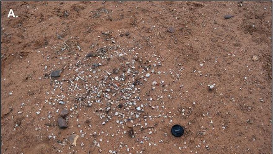 고고학자들은 호주에서 홀로세 석기 도구 60개의 독특한 퇴적물을 발견했습니다.