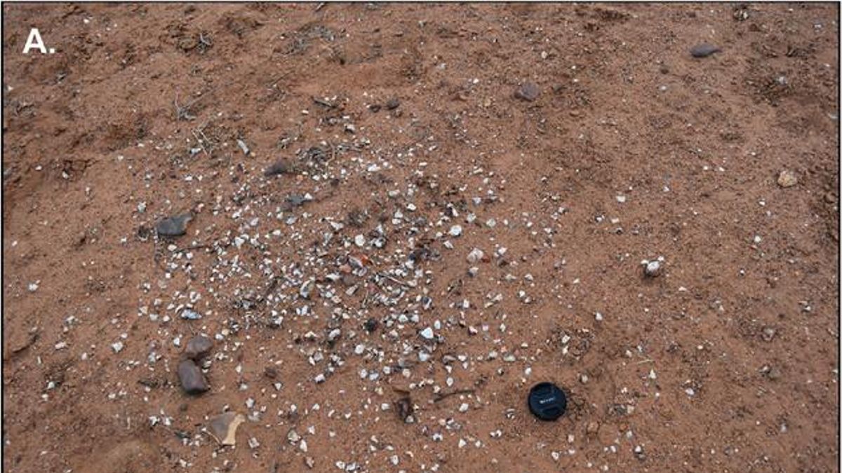 Arqueólogos localizan en Australia un depósito único de 60 herramientas líticas del Holoceno tardío