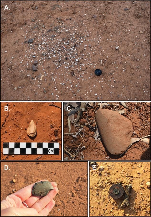 lgunos de los artefactos dispersos alrededor del billabong de Scarsdale