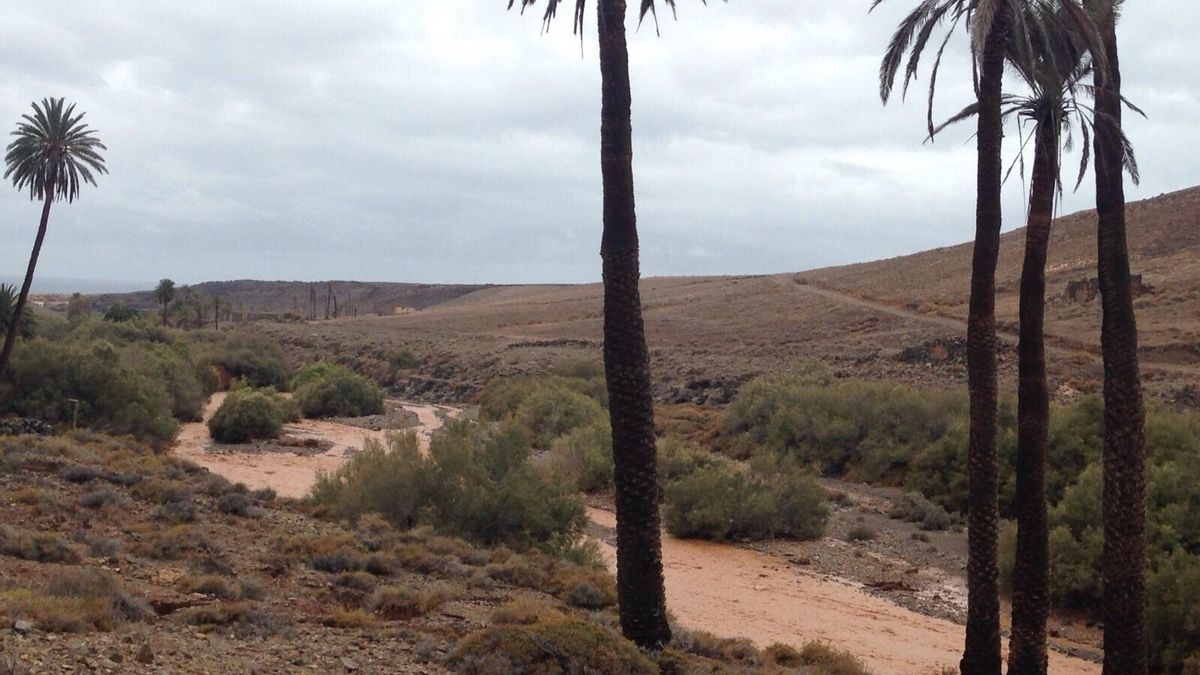 FOTOGALERÍA | Los efectos de la borrasca en Fuerteventura