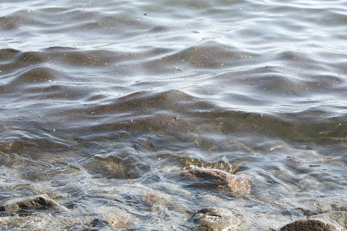 Manchas de fuel en la Playa de Tasartico. ( Foto: Alejandro Ramos)