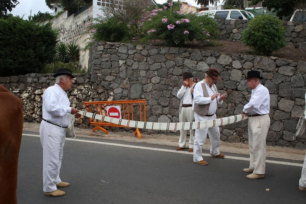 Romería de Teror (ALEJANDRO RAMOS)