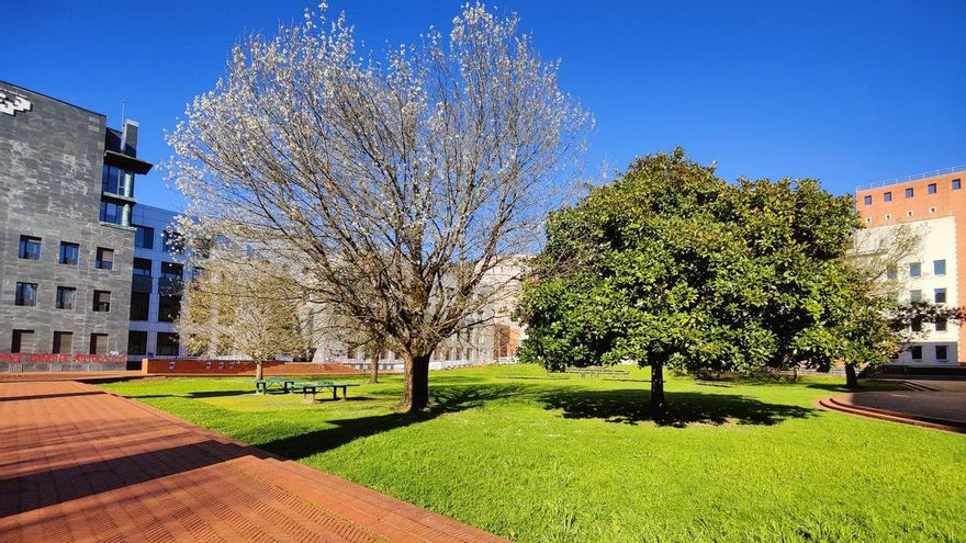 El campus de Gipuzkoa de la EHU, sin actividad por la huelga