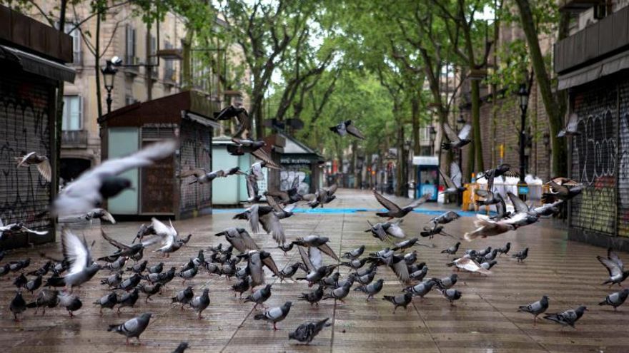 Se trata de barrios donde vive gente mayor, donde muchas personas han tenido que volver al trabajo y donde hay pisos más pequeños y comunidades más densas.