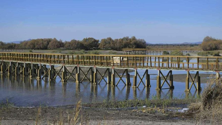 Rodeada de pasarelas y puentes de madera, esta pequeña isla de interior y agua dulce es conocida por su extensa fauna