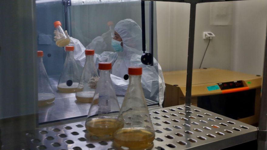 Una investigadora trabaja en el desarrollo de vacunas covid dentro de un laboratorio de Anticuerpos Monoclonales, el 25 de febrero de 2021, durante un recorrido de Efe en laboratorios del Centro de Biotecnologías en Cuba, en La Habana (Cuba). EFE/Ernesto Mastrascusa/Archivo
