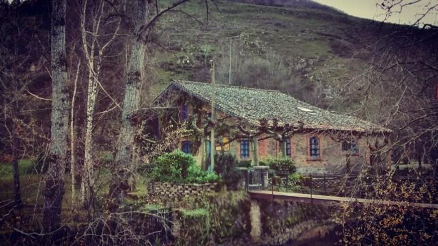 Carbonera. Autora: Amaya Orozco