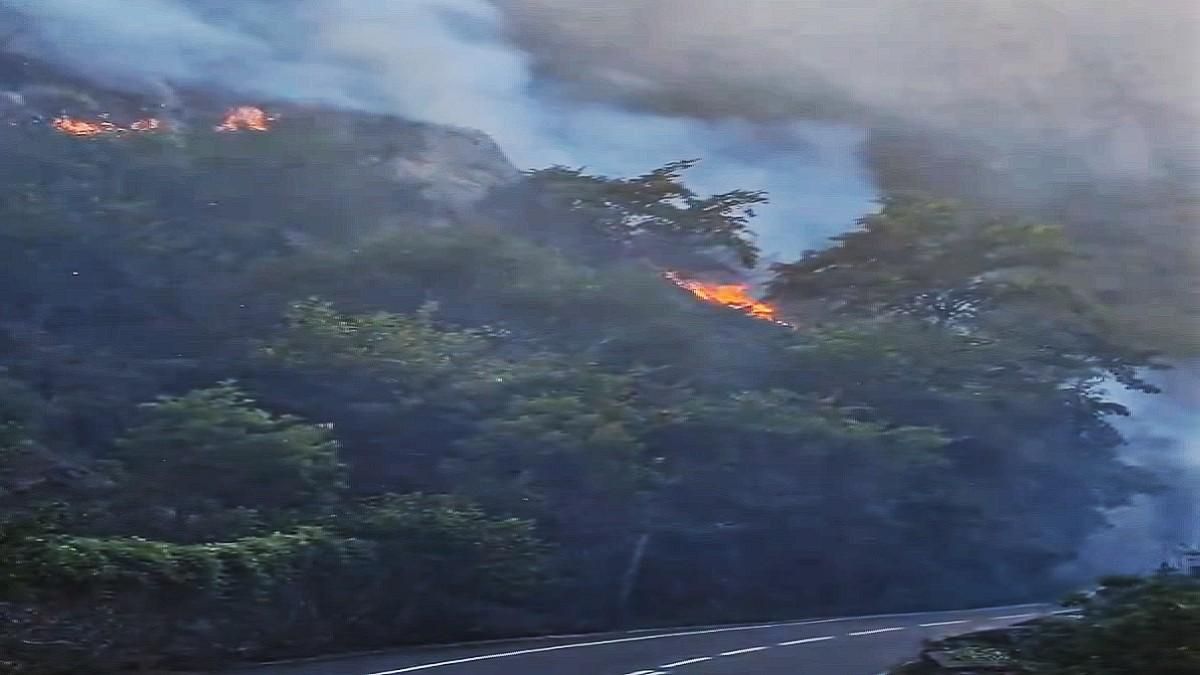 Imagen del incendio de Ribota de Sajambre en la carretera N-625, que ha terminado siendo cortada totalmente.