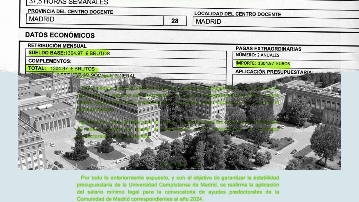 La Complutense reduce unas ayudas a jóvenes investigadores hasta casi el salario mínimo: "Recortan a los más pringados"
