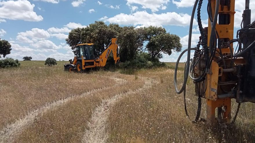 Denuncian que la construcción de una macroplanta fotovoltaica de Solaria en Méntrida afecta a aves en peligro de extinción