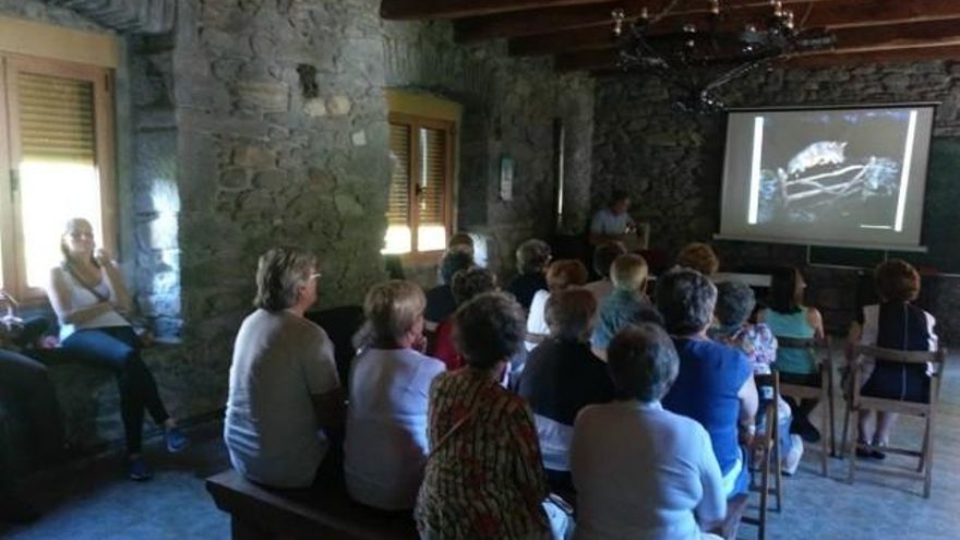 Conferencia sobre el lobo.