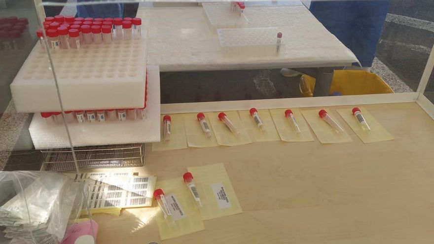 Muestras para PCR.