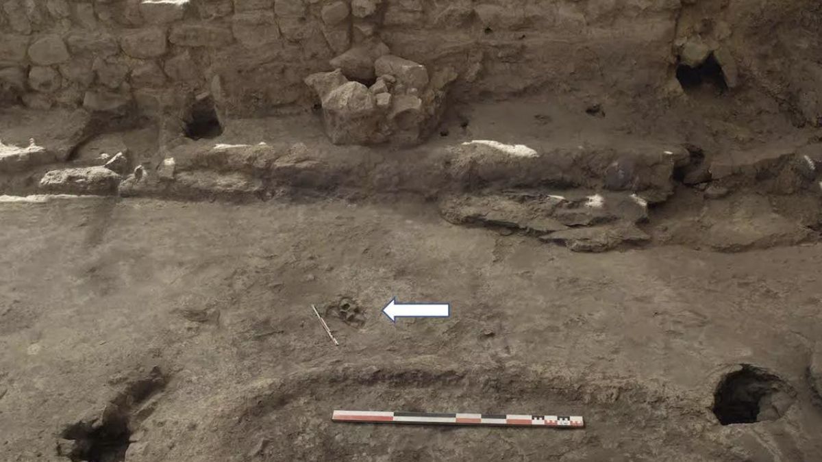 El hombre apareció sin ajuar, con las extremidades flexionadas y parte del cuerpo bajo el hogar