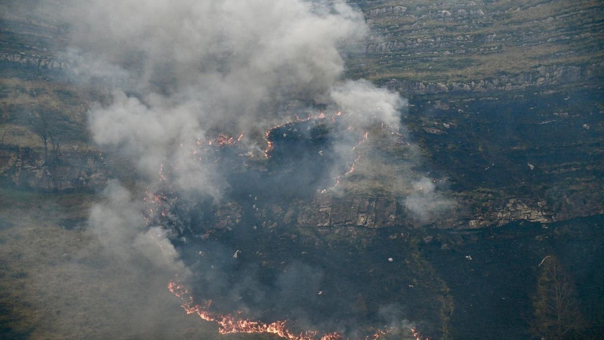 Incendio forestal en Cantabria. ARCHIVO