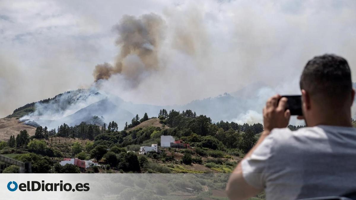Gran Canaria y Tenerife, en alerta por riesgo de incendio forestal