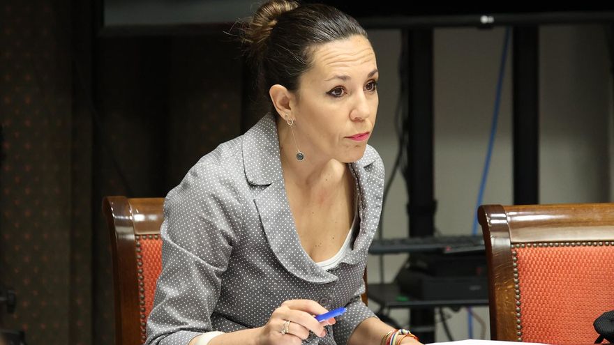 La consejera de Turismo reta a la oposición a que plantee un modelo turístico alternativo en Canarias