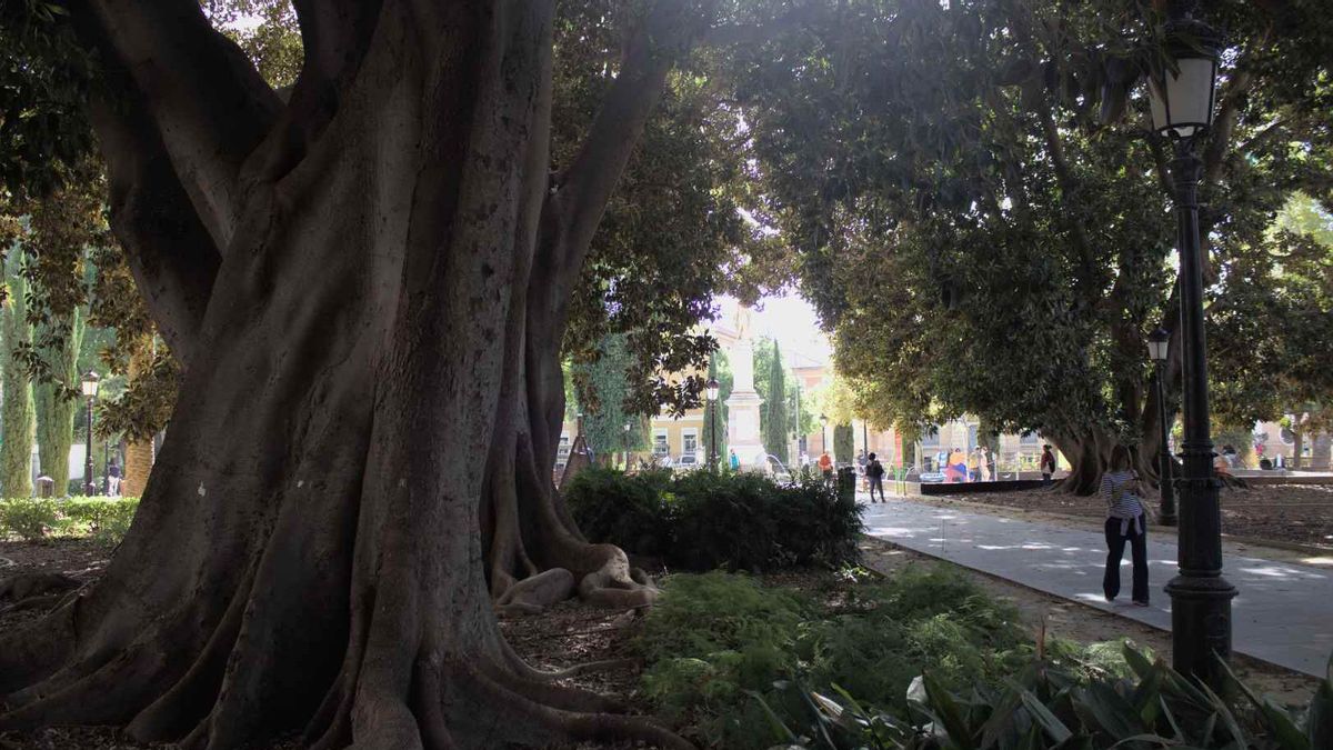 El Jardín de Floridablanca es el parque público más antiguo de la ciudad de Murcia. AYUNTAMIENTO DE MURCIA