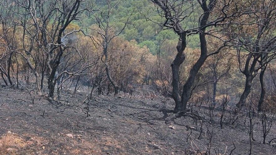 El Infoca estabiliza un incendio forestal en el corazón de Trassierra