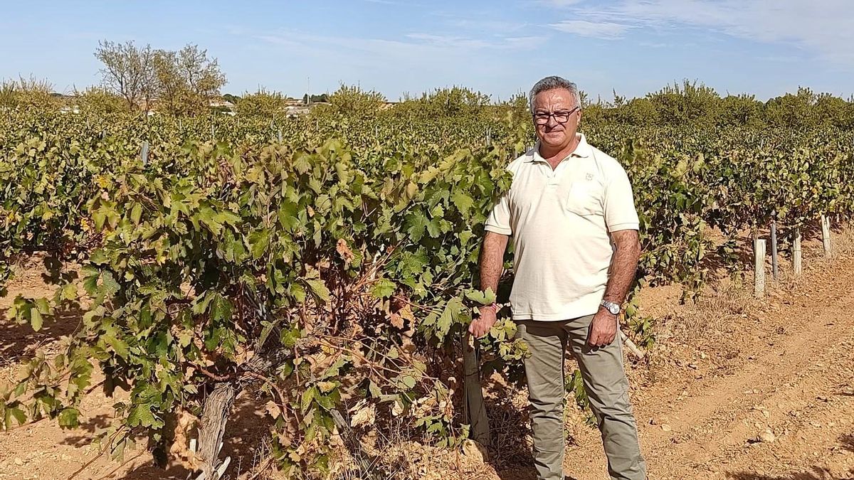 Un futuro incierto para el vino y nuestros pueblos: basta ya de maltrato al sector