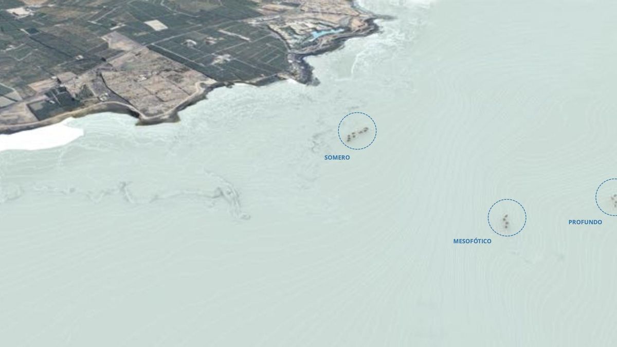 El Gobierno de Canarias saca a exposición pública un proyecto en la costa de Tenerife señalado de 'greenwashing'