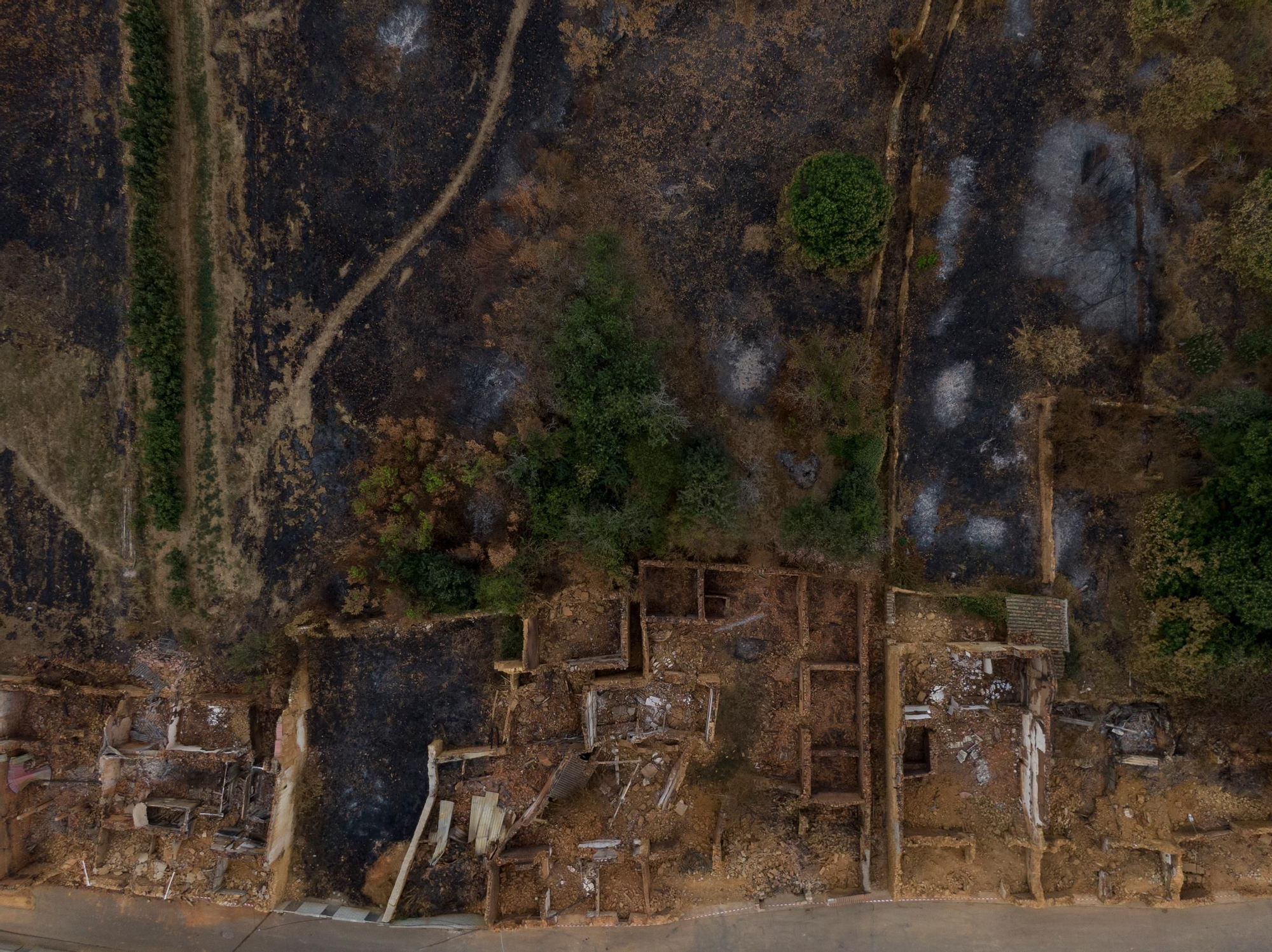 La devastación de los incendios del sur de León que impulsa la campaña internacional de Greenpeace