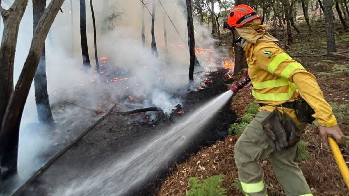 Un bombero forestal del INFOEX sofocando un incendio