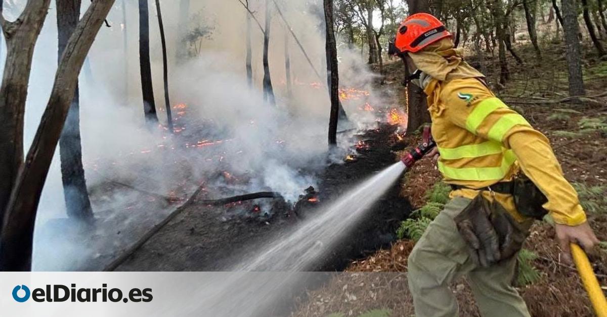 Dos mochilas de agua, herramientas manuales y mucha valentía: el retén que combate el incendio del norte de Cáceres sin camión