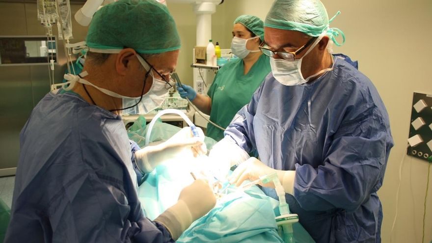 ELA exige a Osakidetza una política de empleo que "asegure condiciones de trabajo dignas para todo el personal"