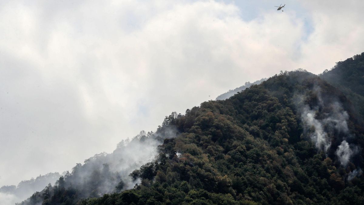 Asturias solicitará la declaración de zona catastrófica en las áreas devastadas por el fuego