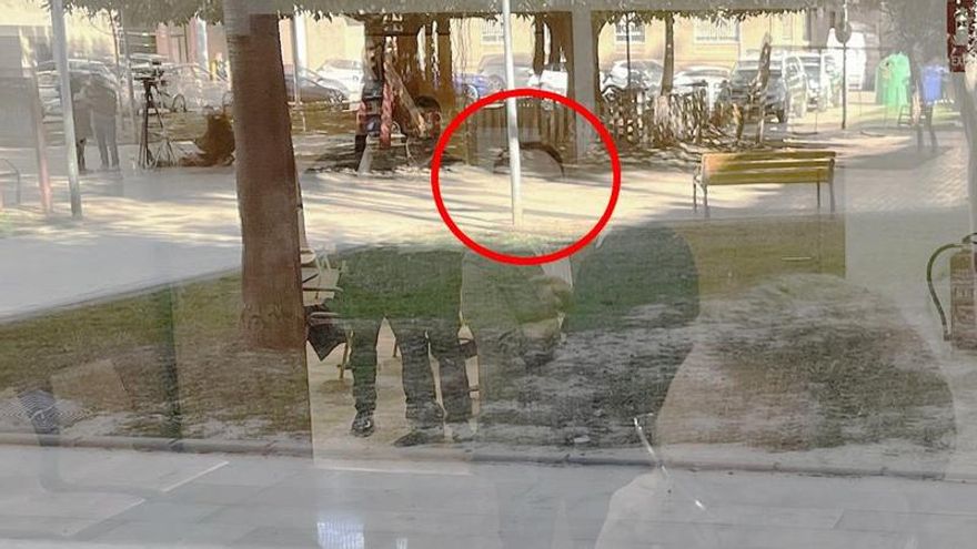 Perez Jurka told the judge that he called Mazzone in the middle of the day to ask about Oteil and that he told him he was there "It was raining"