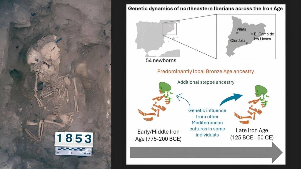 Un estudio genético indica que el ADN de los íberos del noreste peninsular apenas cambió en seis siglos