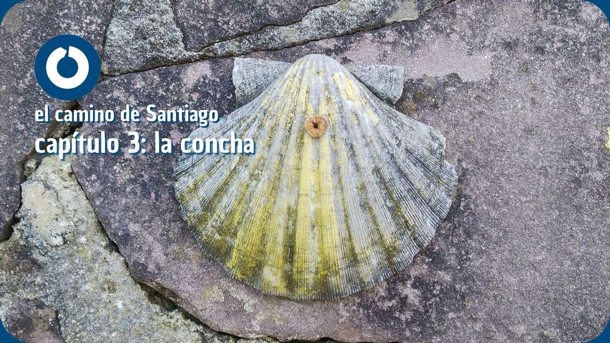 El camino de Santiago 3