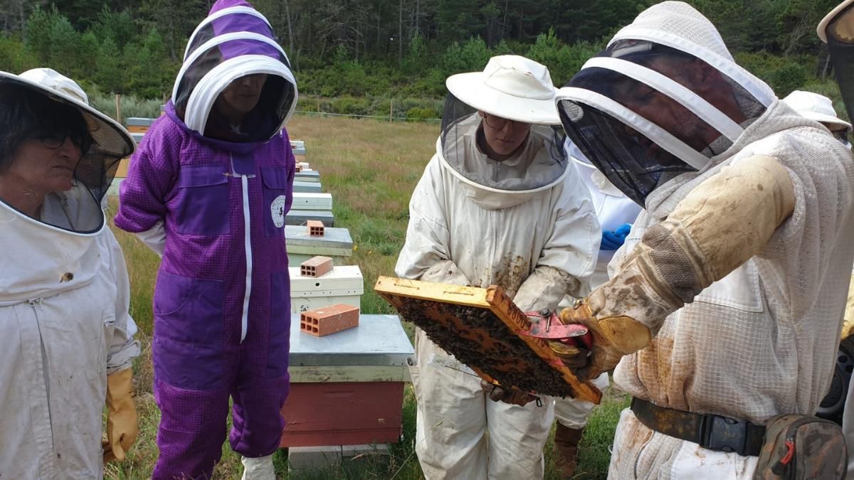 Curso de apicultura de Cuatro Valles