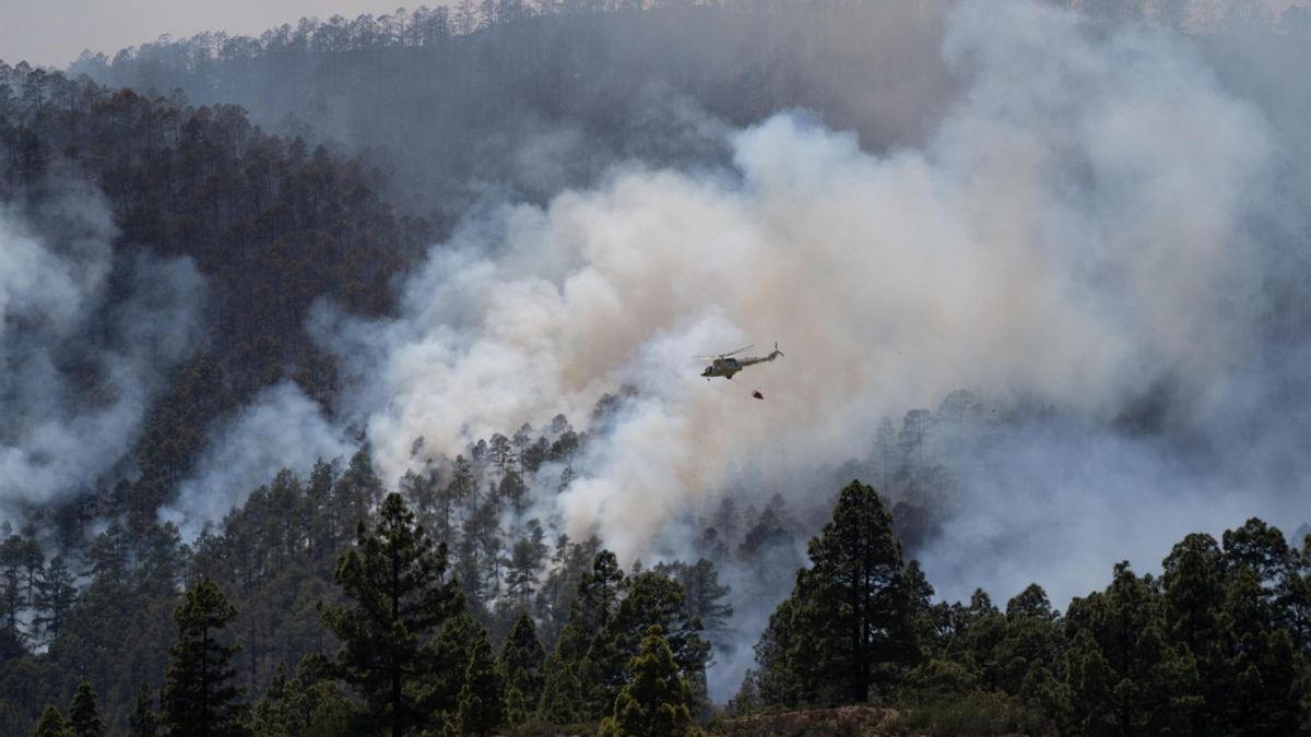 Fotogalería | Así avanza el fuego en Arico