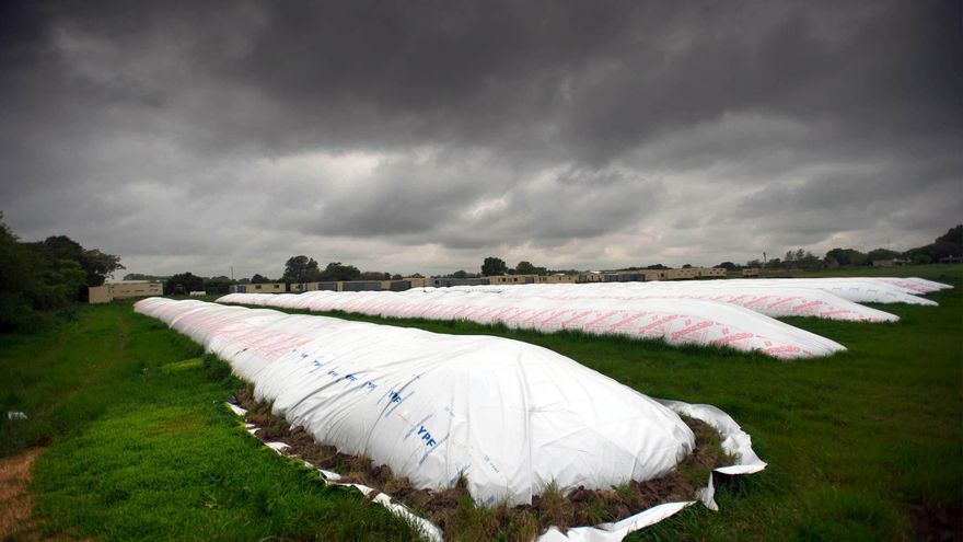 Por subas de la soja y el maíz, los productores tuvieron su tercer mejor diciembre en 10 años y se llevaron US$ 1.690 millones