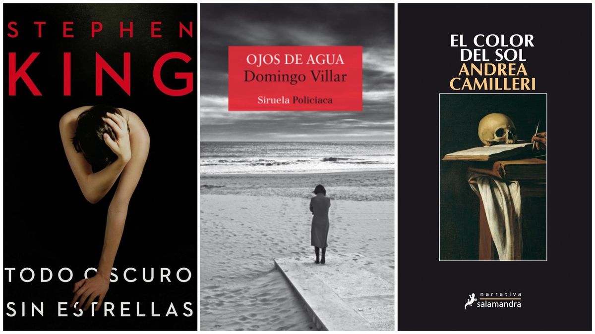 Novela negra breve