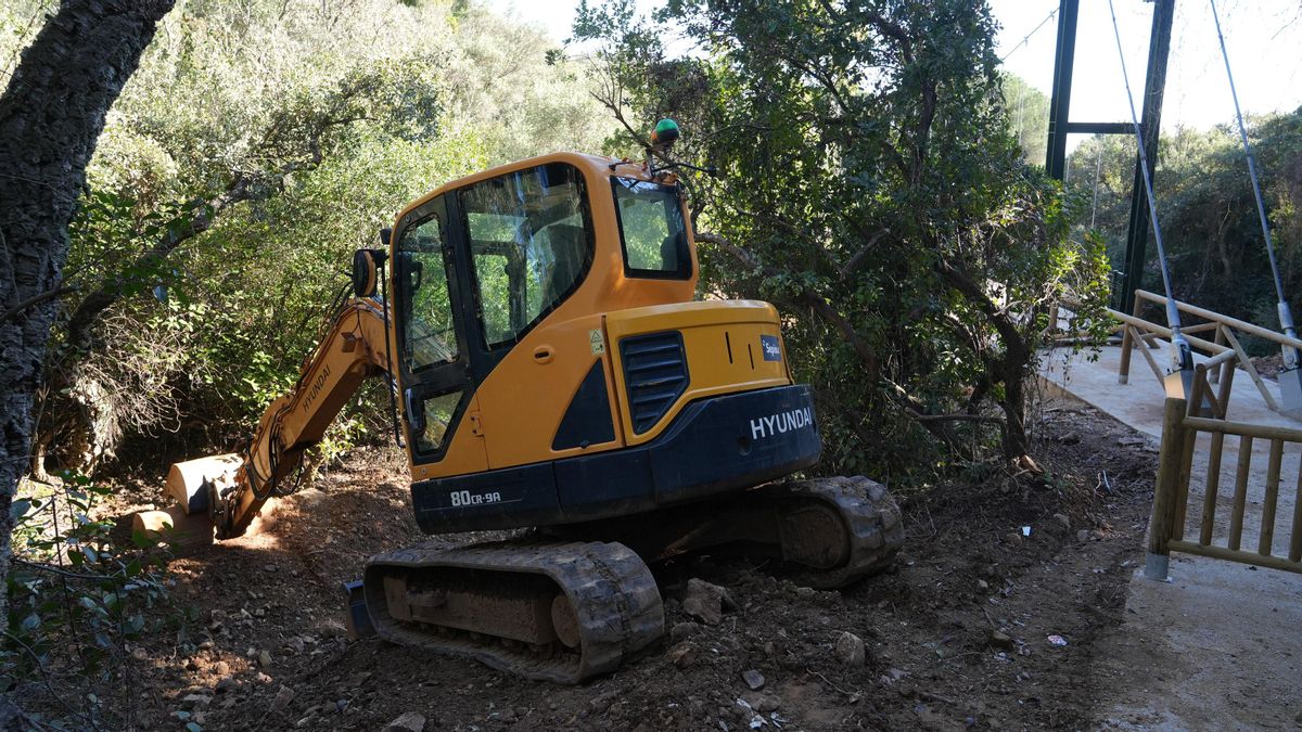 Trabajos de remante en el Cinturón Verde