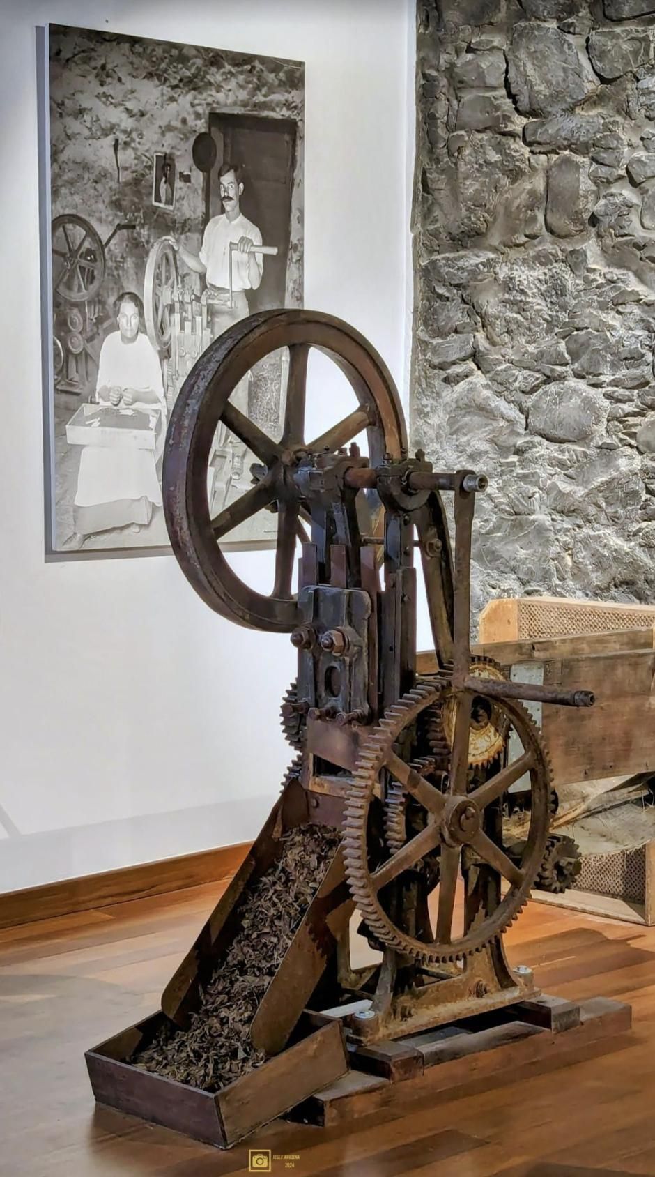 Una picadora de tabaco  en la exposición ‘El tabaco en La Palma: una isla entre chinchales’ de la Sociedad de La Investigadora.