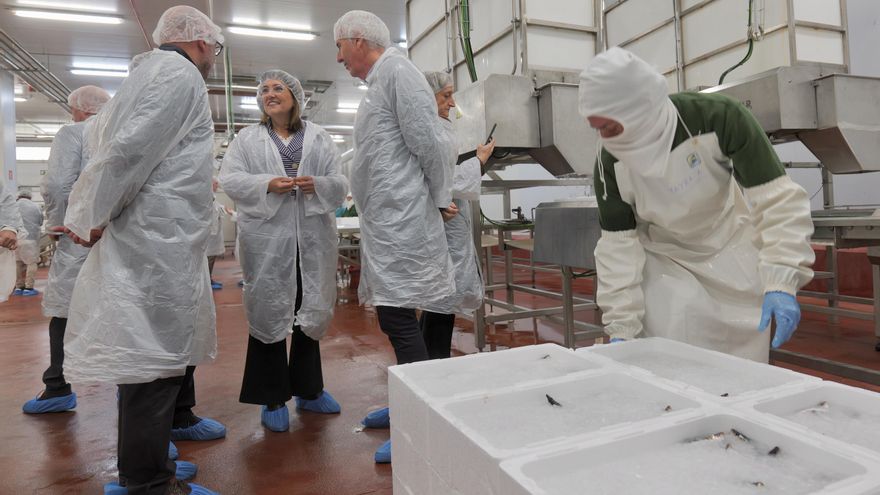 De la lonja a la mesa: arrantzales y Gobierno vasco crean una empresa que comercializará pescado listo para consumir