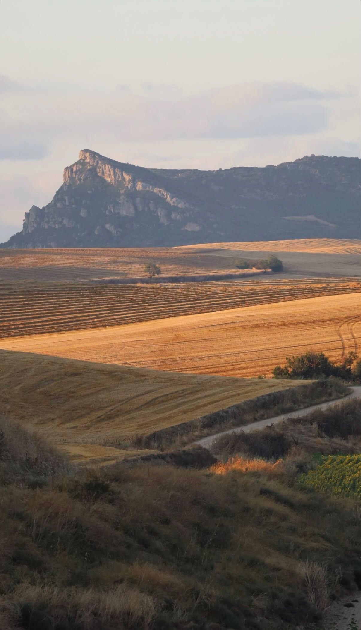 Todas las fotos del concurso 'Disfruta La Rioja' (Parte 1): 120 miradas al verano en nuestra región