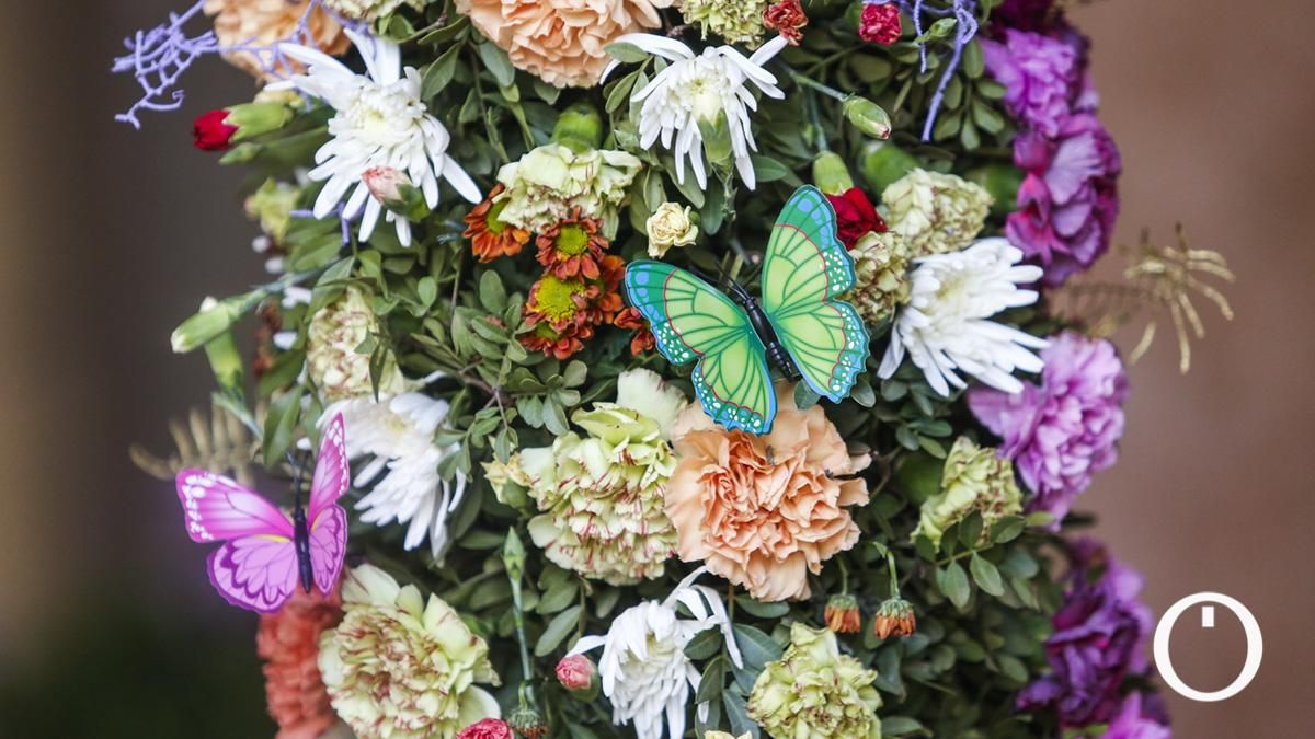 Primer premio en Recintos Cerrados Cruz de la AVV Alcázar Viejo