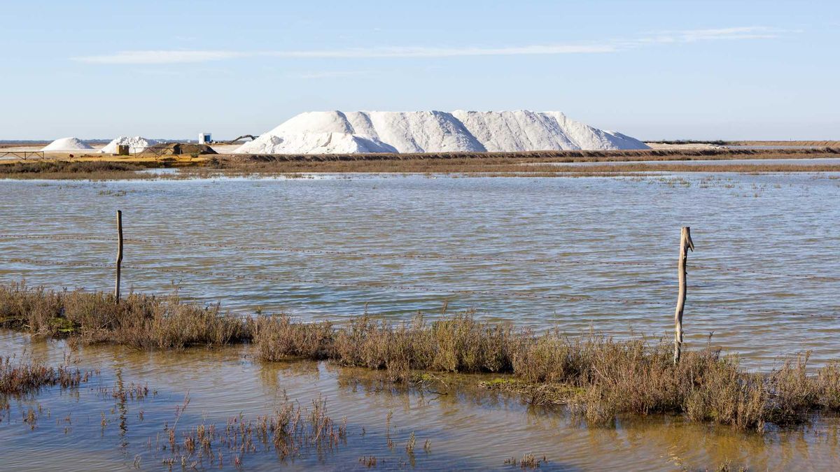 Estas salinas de Cádiz podrían ayudar a luchar contra el cambio climático