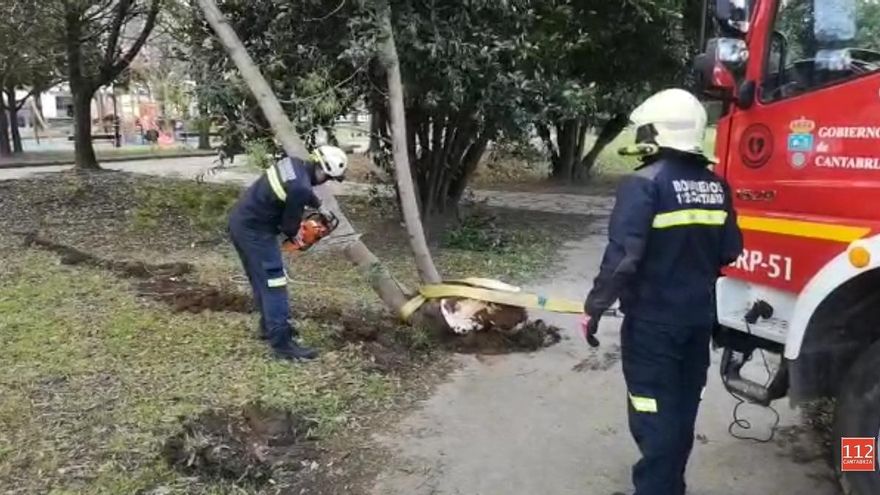 Rachas de hasta 136 kilómetros por hora dejan 109 incidencias en Cantabria por viento desde el miércoles