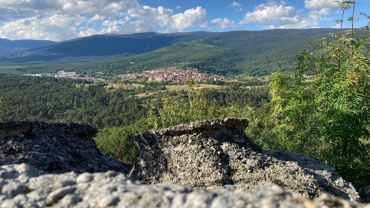El oasis de naturaleza en Soria que esconde una cascada en un bosque de pino albar único en Europa