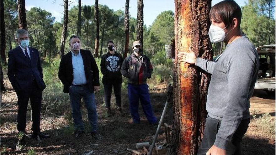 ICAL. El presidente de la Diputación Provincial de León, Eduardo Morán(CI), y el director de la UNED en la provincia de León, Jorge Vega Núñez(I), presentan la primera titulación oficial de España como experto profesional del sector resinero.