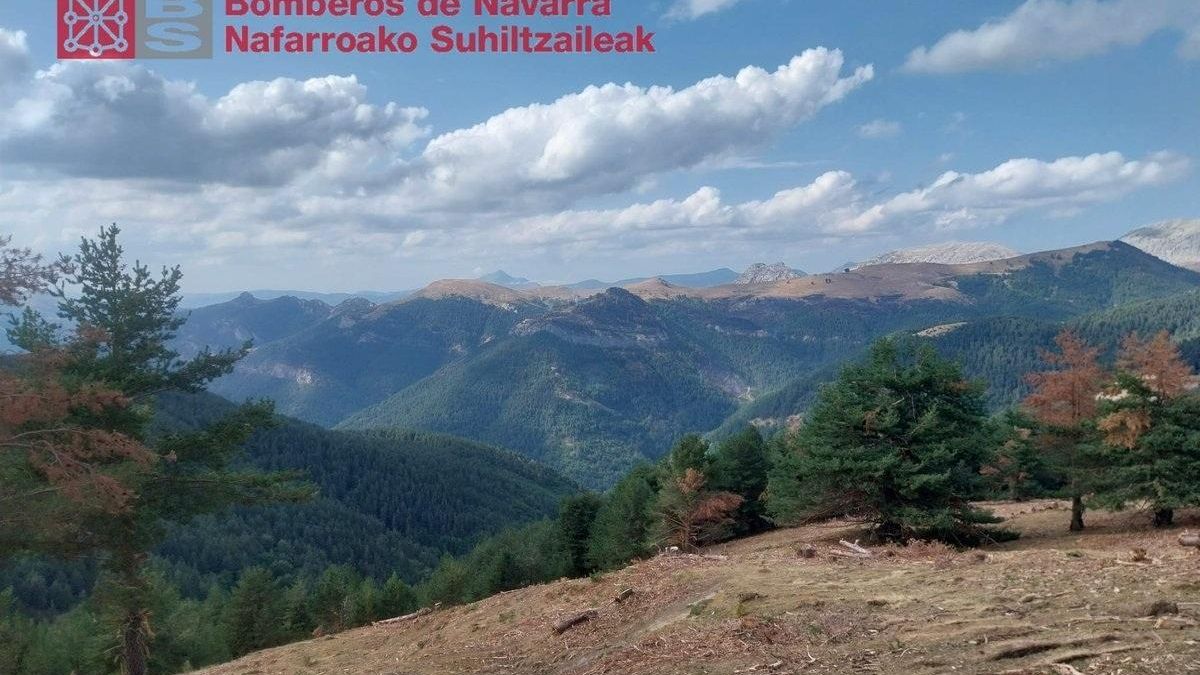 Estabilizado el incendio forestal en la zona de Urzainki